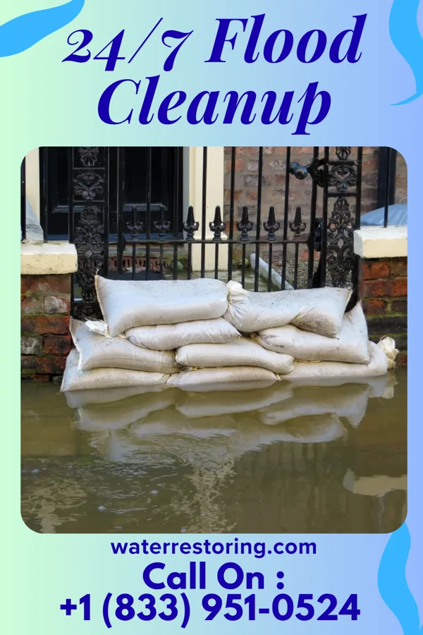 24/7 Flood Cleanup in Hertford, NC