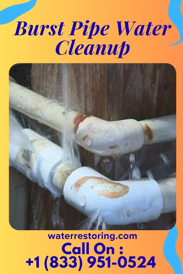 Burst Pipe Water Cleanup in Hertford, NC