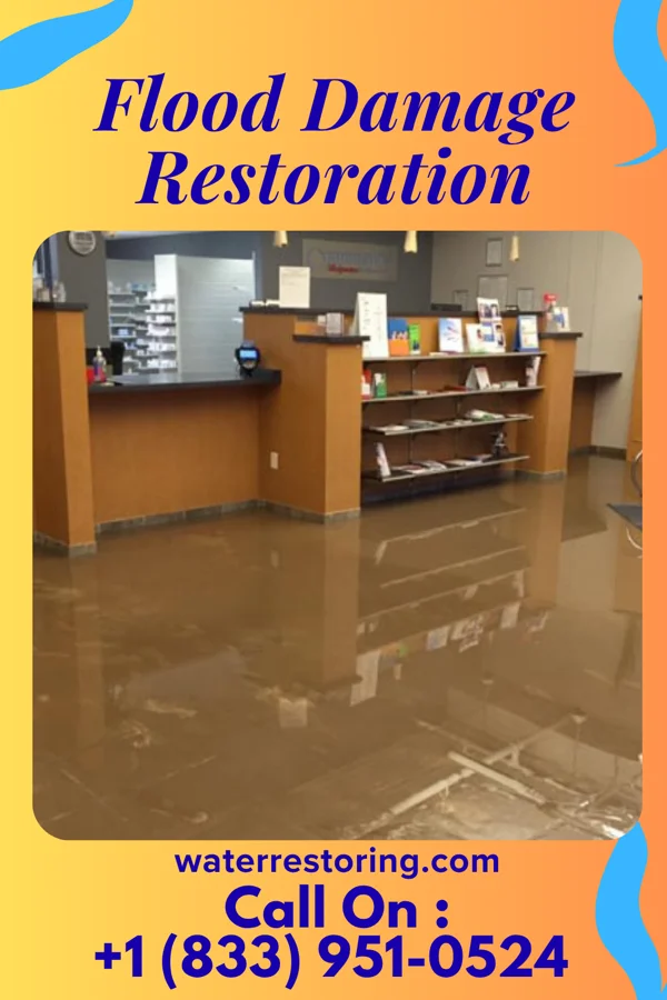 Flood Damage Restoration in Hertford, NC