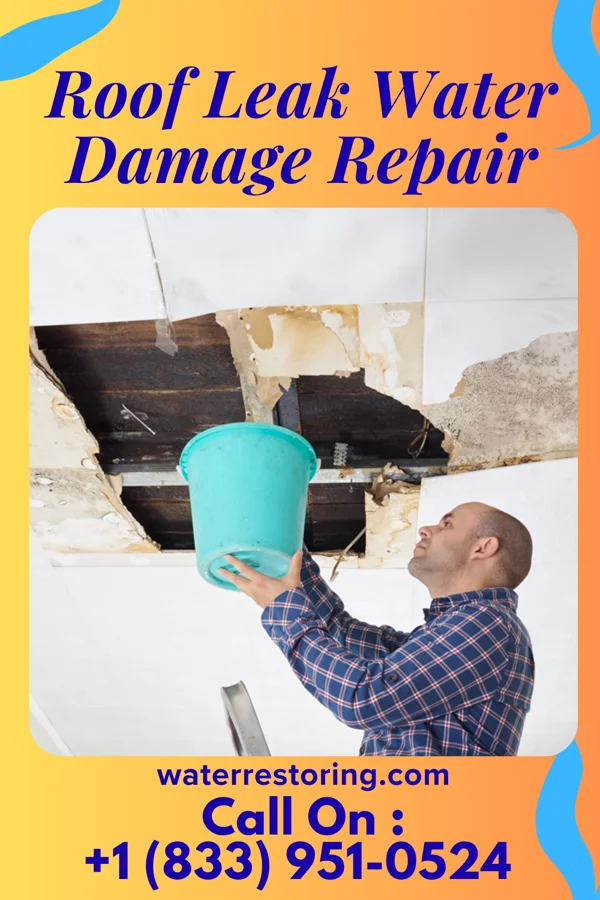 Roof Leak Water Damage Repair in Hertford, NC