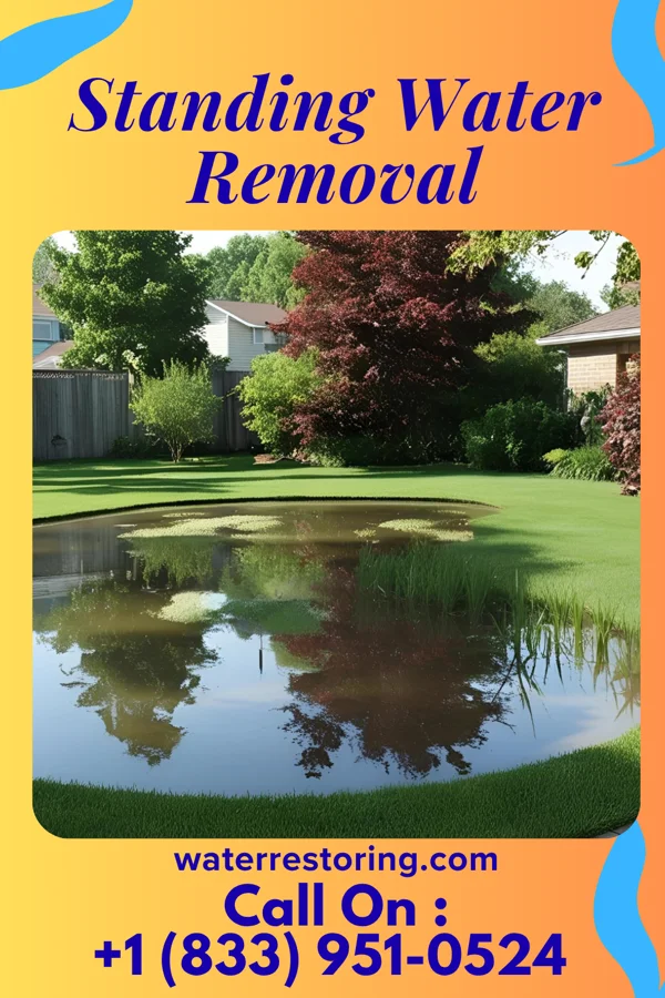 Standing Water Removal in Hertford, NC